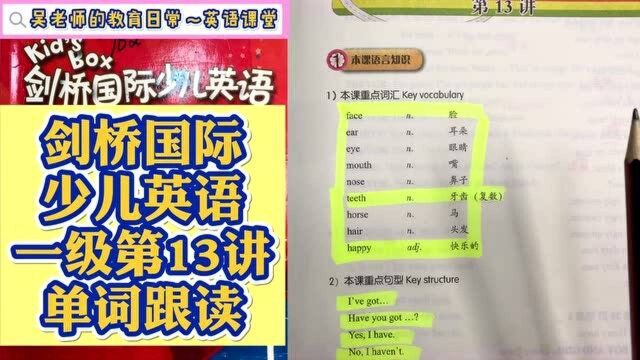 剑桥国际少儿英语一级上第13讲同步单词跟读学习