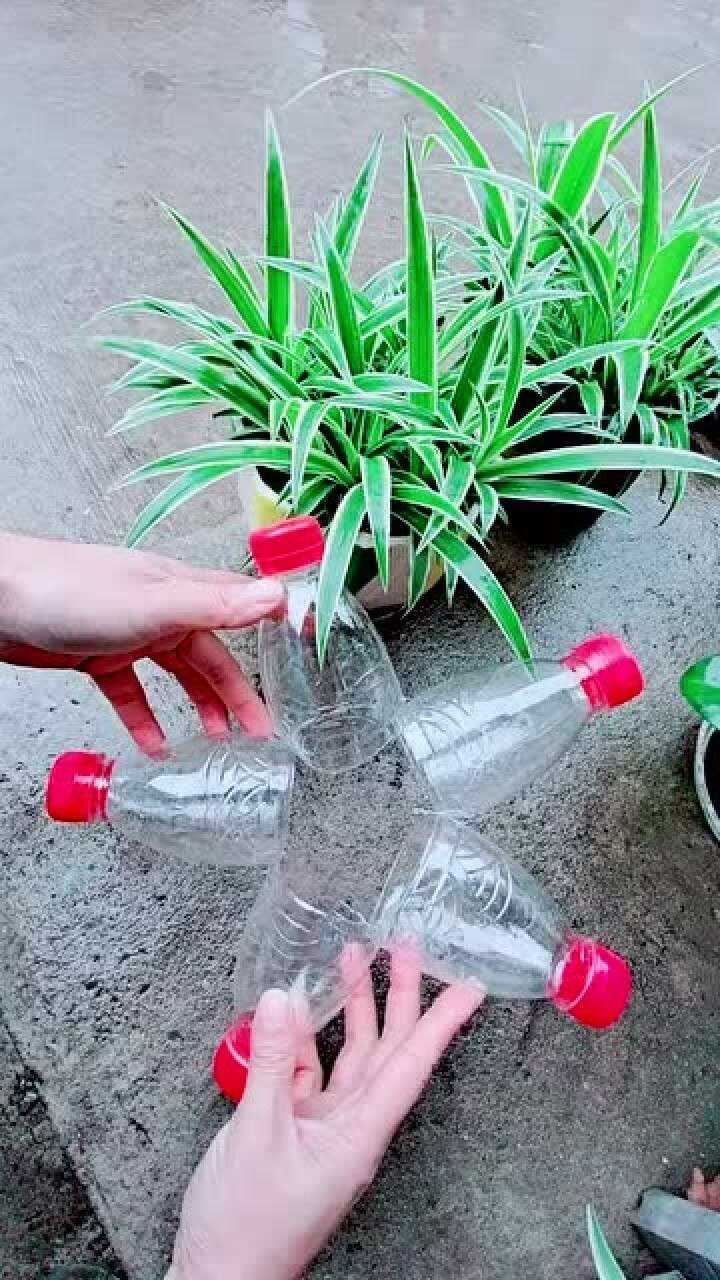 用矿泉水瓶制作简单漂亮的花盆,美观轻巧又好看