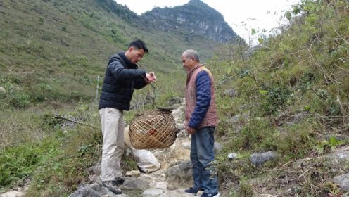 小莫进山遇到大叔卖土货，打开笼子一看靓货，三百多买两只真划算