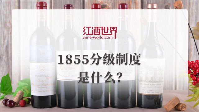 大佬们常说的1855分级是什么?