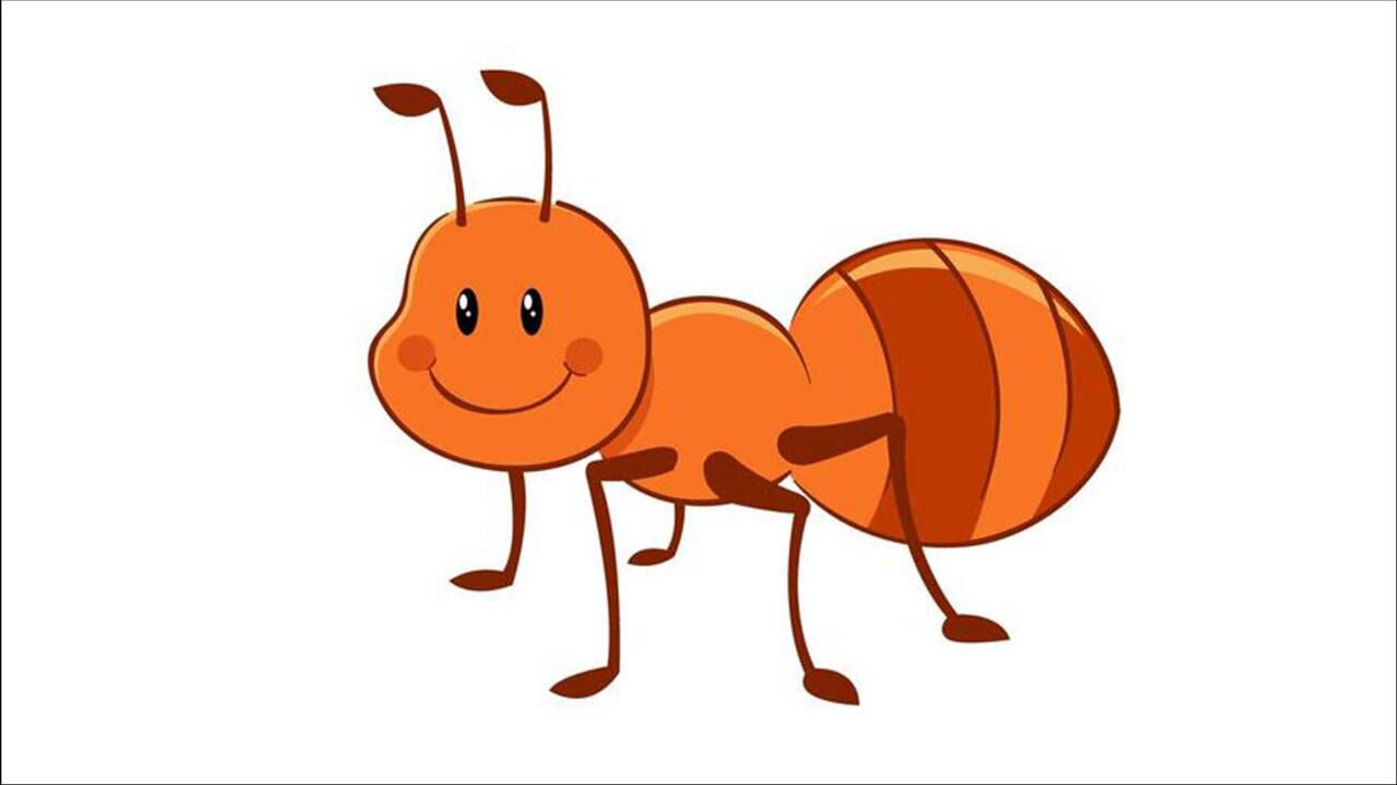 剖开蚁后的大肚子,里面全是蚂蚁卵吗?_腾讯视频