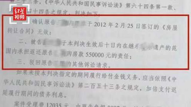 “九岁孤女成老赖案”代理律师向郑州中级人民法院提交再审申请