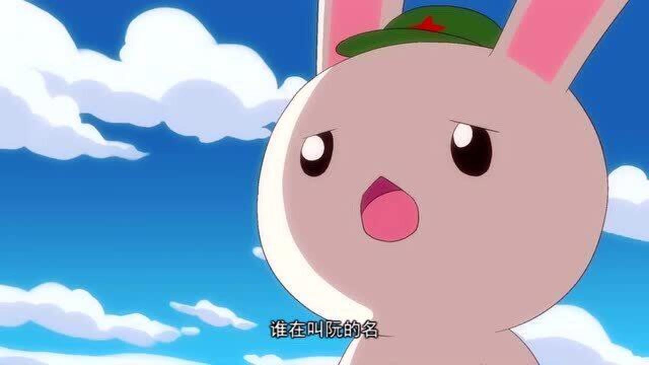 秃子坚持自己的政策统一种花家兔子隔海唱歌提出新的方针统一种花家