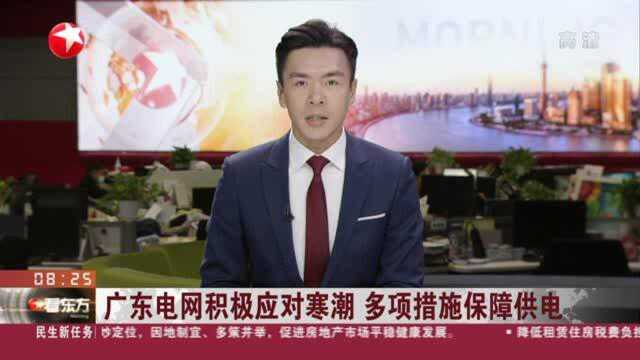 广东电网积极应对寒潮 多项措施保障供电