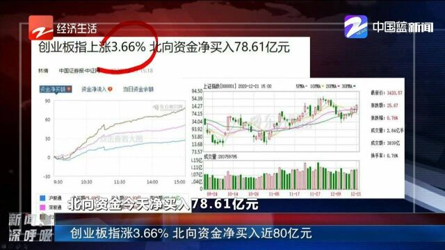 创业板指涨3.66%,北向资金净买入近80亿元