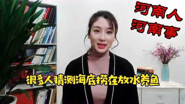 河南人与河南事:在郑州,海底捞开店卖土豆粉,挑战姐弟俩?