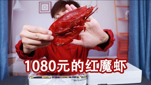 试吃1080元的红魔虾，这种做法也太好吃了！