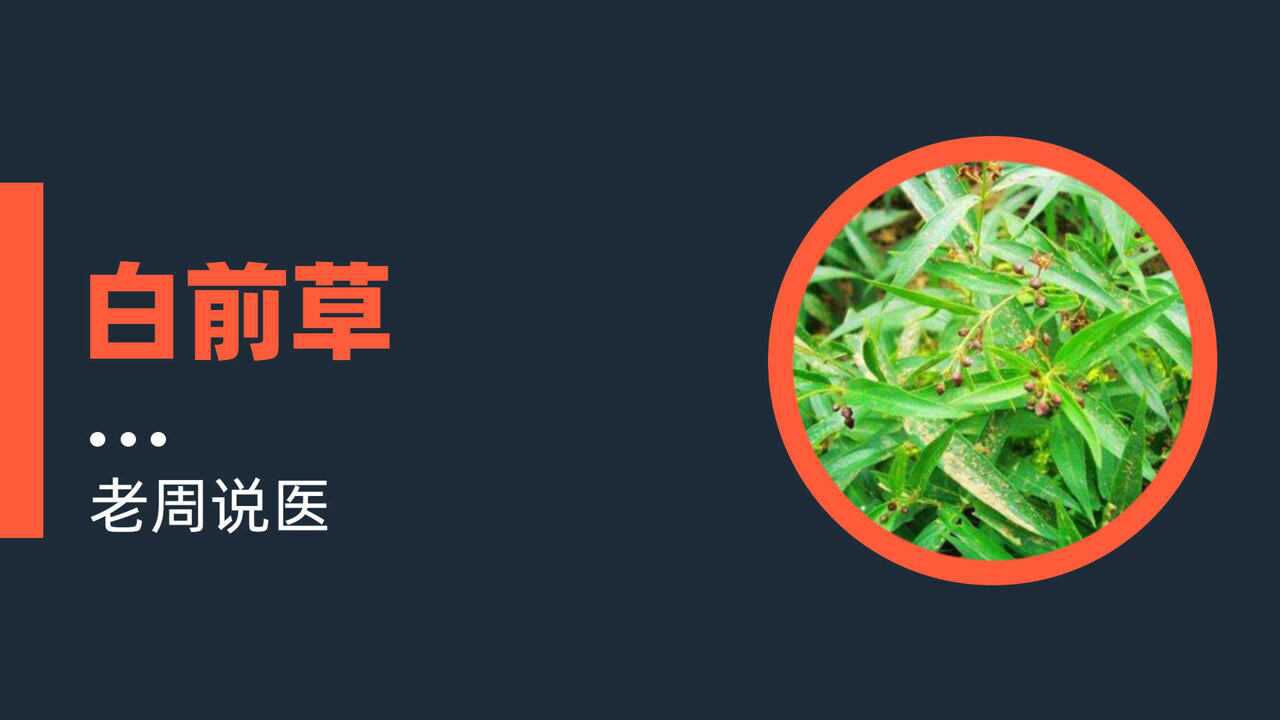 白家庄白前草药传说_腾讯视频