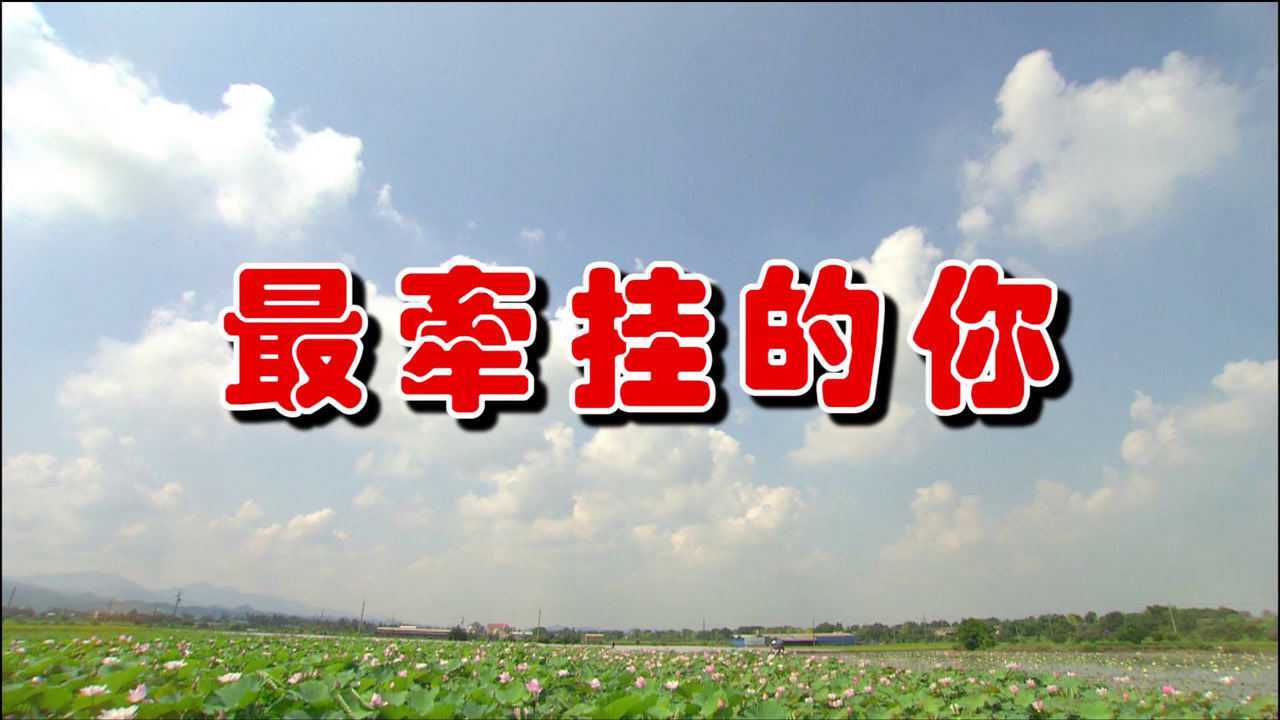 一首情歌最牵挂的你词曲唯美句句深情