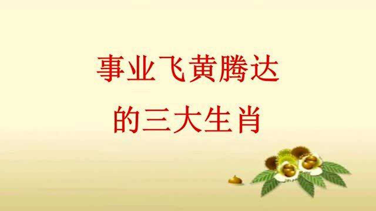 事业飞黄腾达的三大生肖