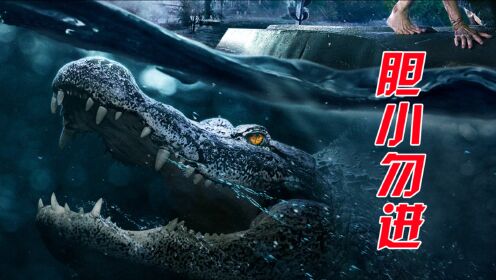 《夺命巨鳄》中外鳄鱼混剪:来自嗜血生物的进攻 giant crocodile