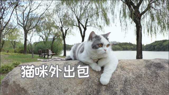 手缝猫咪专用帆布包