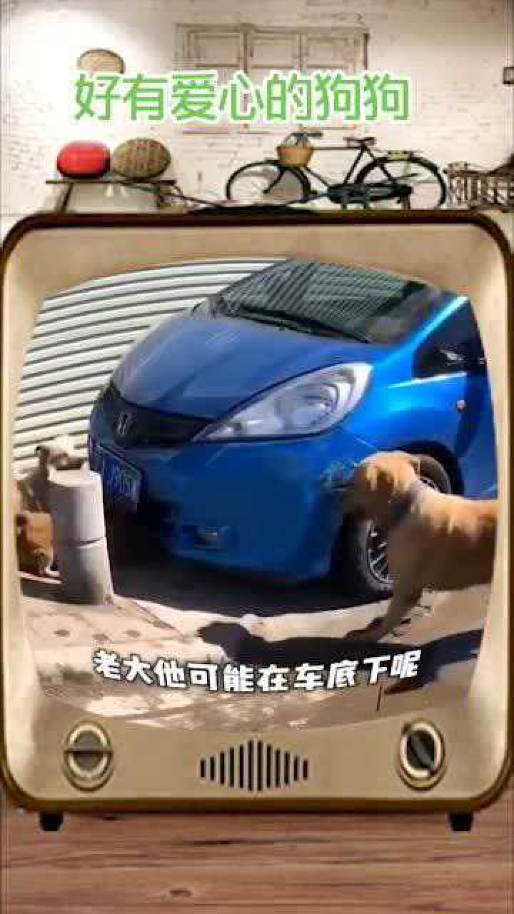 阿杜:我应该在车底,不应该在车里