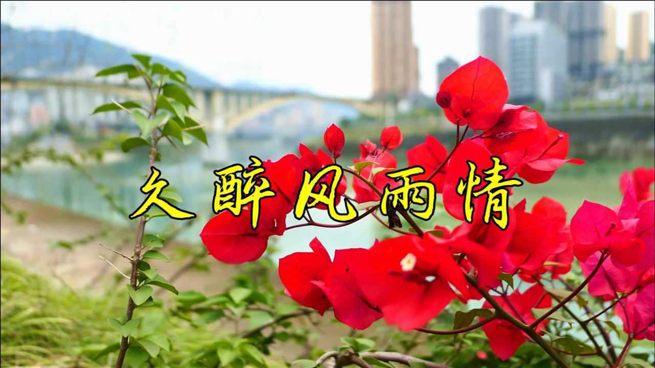 2020醉人歌曲久醉风雨情深情感人唱哭多少痴情人