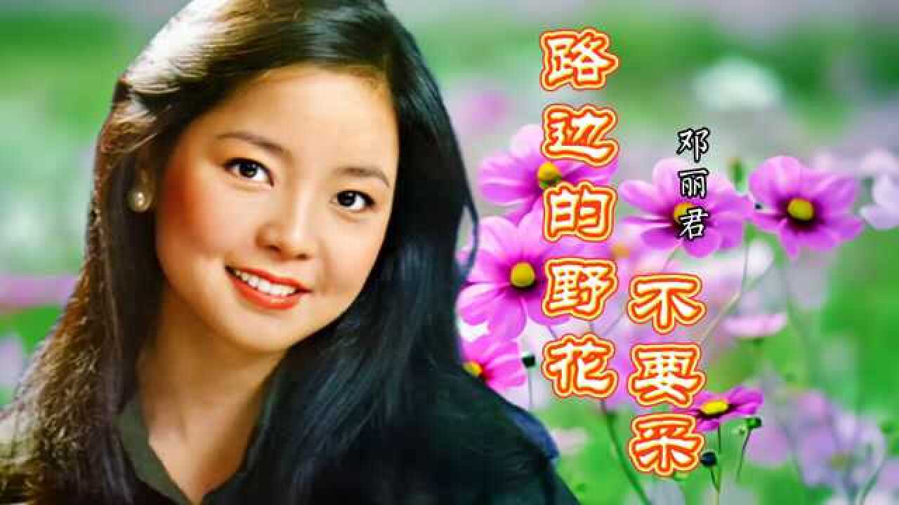 经典永流行路边的野花不要采邓丽君甜蜜蜜似的歌声值得收藏