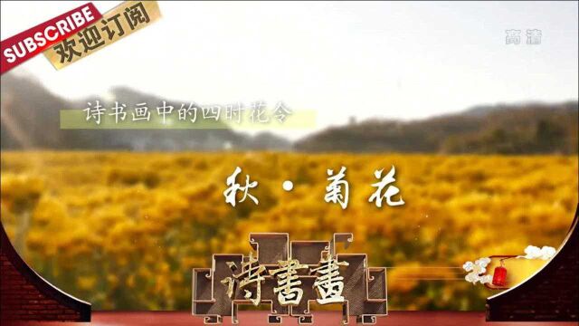 诗书画四时花令ⷧ狂𗮐Š菊花 20201019