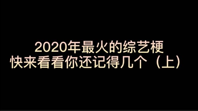 2020年最火的综艺梗(上),快来看看你还记得几个