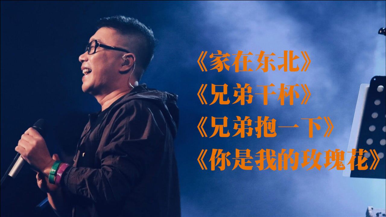 庞龙经典音乐家在东北兄弟干杯兄弟抱一下你是我的玫瑰花