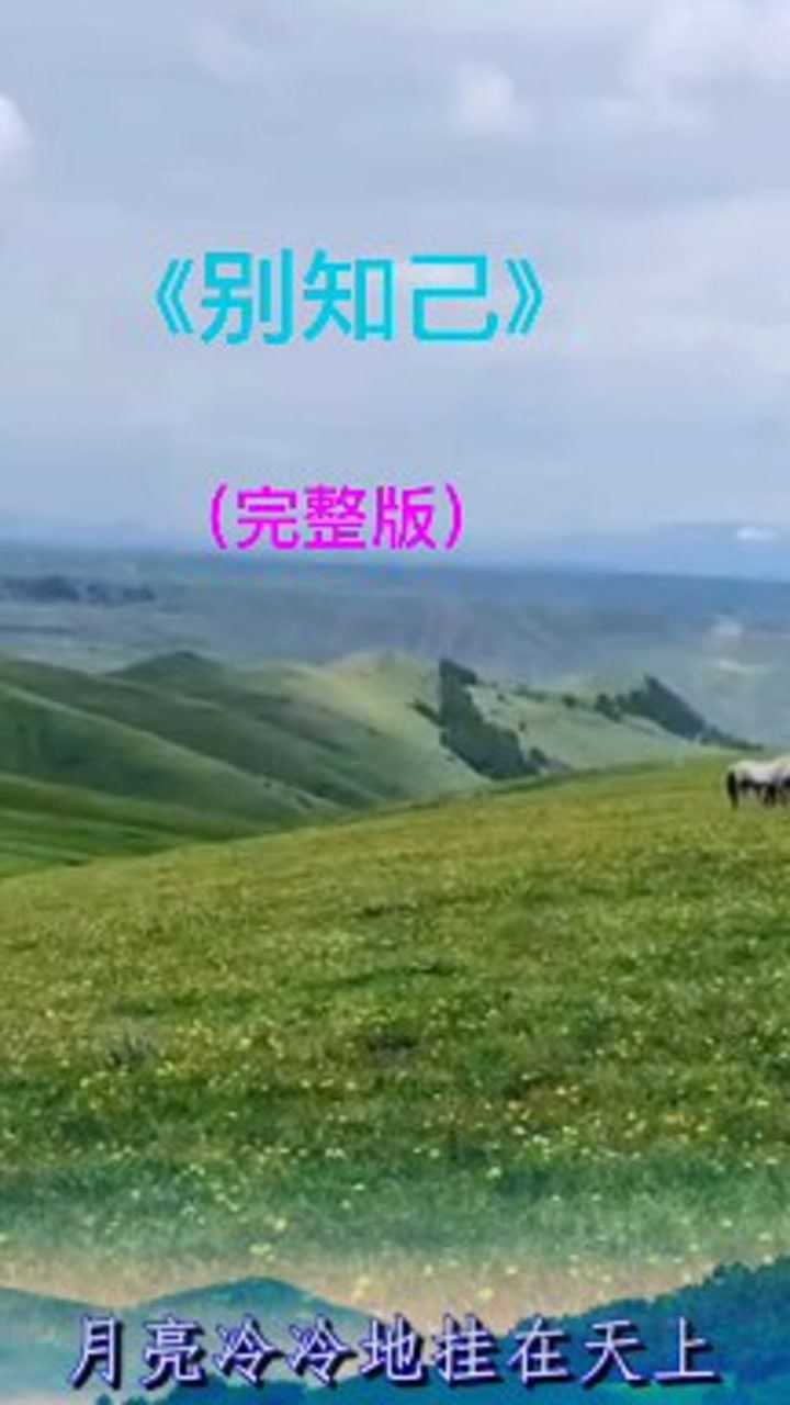 伤感歌曲《别知己》(完整版)