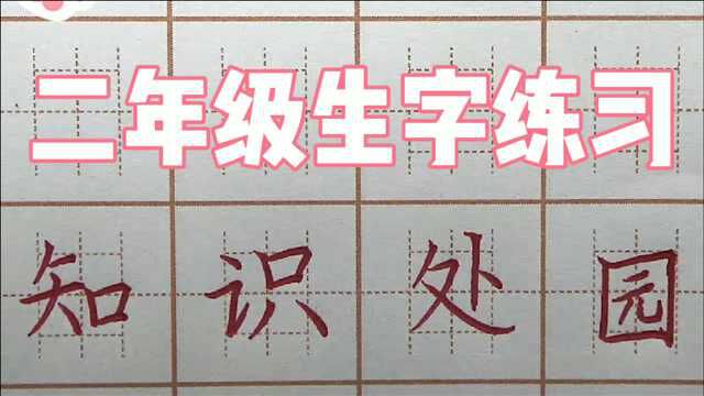 知识需要每日温习,二年级生字:知识处园,硬笔书法写字楷书练字