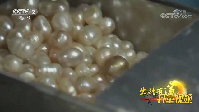 “珍珠哥”线上做直播卖珍珠成网红,线上线下生意火爆