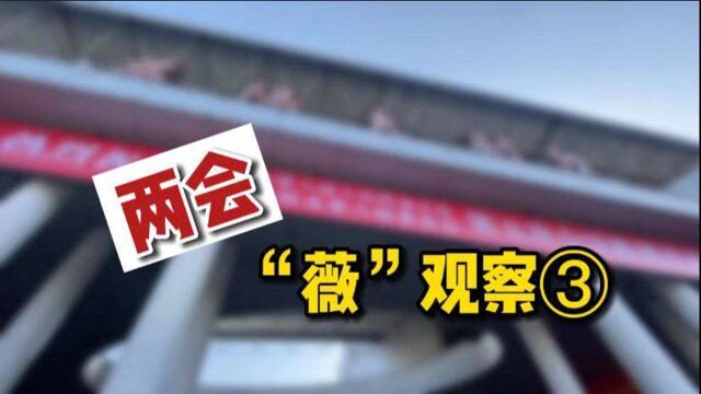 两会“薇”观察|未来可期!来看看政府工作报告里2021年的益阳!