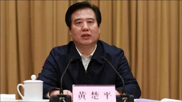 湖北常务副省长黄楚平、武汉市长周先旺,职务调整