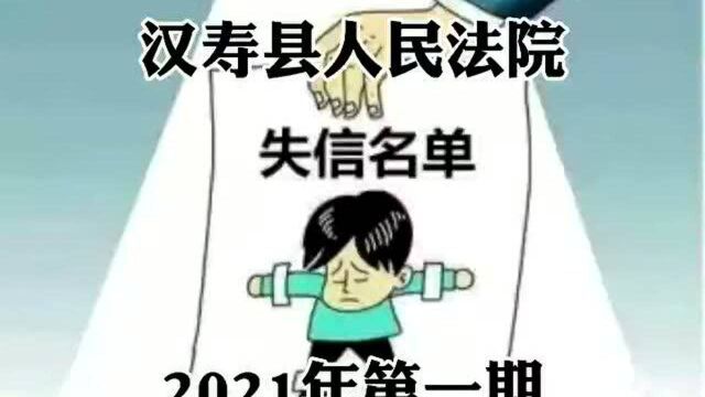 汉寿法院失信被执行人名单2021年度第一期