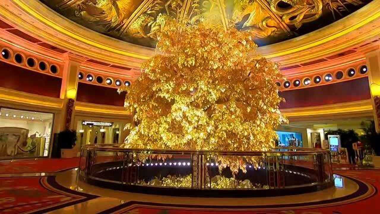 澳门酒店有一株发财树,据说每一片叶子都是黄金打造,价值20亿