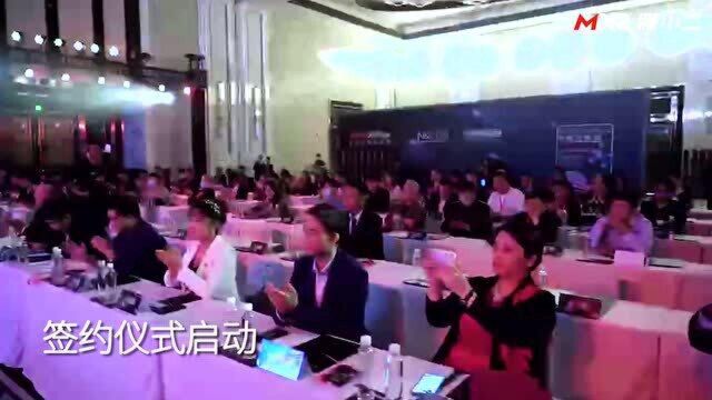 东方卫视特别报道:膜小二工厂产TPU隐形车衣国际领先