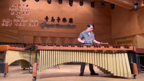 2025第四届国际青岛马林巴音乐节王昇霖打击乐独奏音乐会精彩曲目《幻想即兴曲》作曲:肖邦改编:巴勃罗·布兰科·克德罗演奏:王昇霖_高清 ...