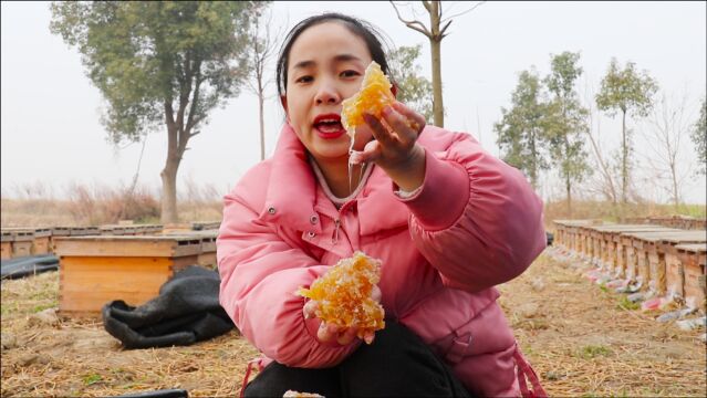 蜜汁爆满,手撕蜂蜜,农村小妹第一次切蜂巢蜜,希望您能眼前一亮