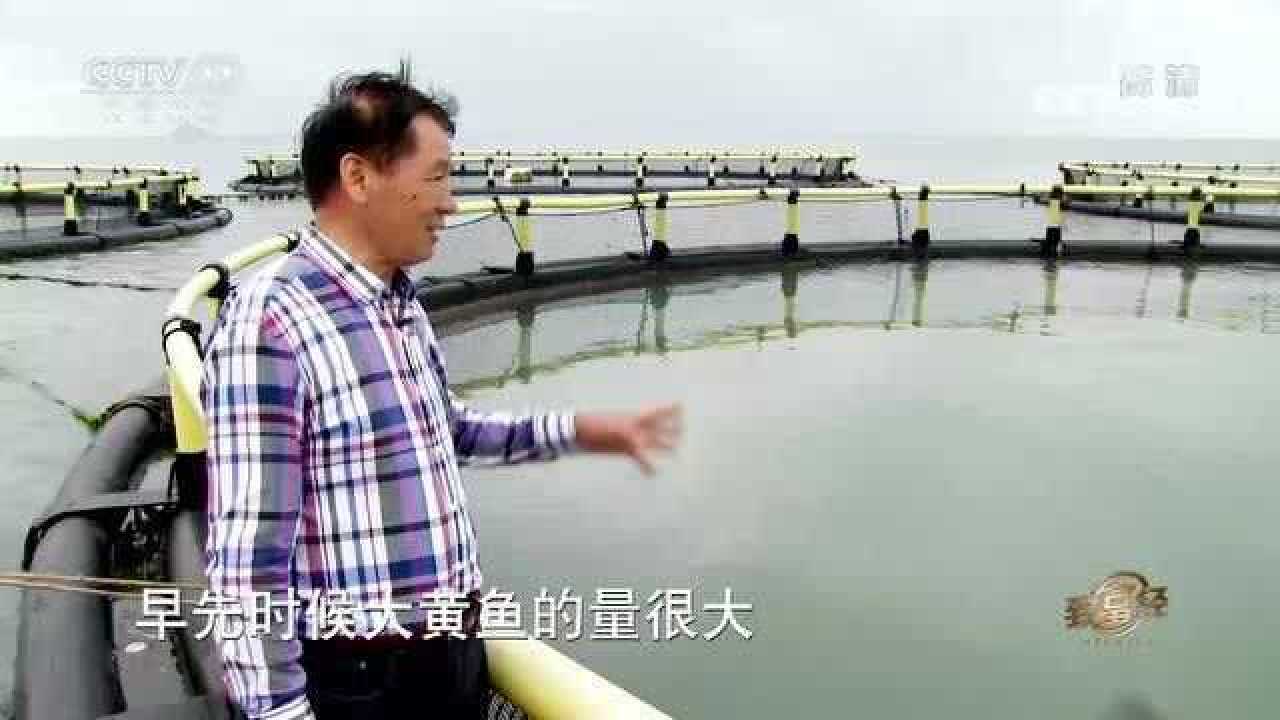 渔民通过敲罟就能轻松捕捞到大黄鱼,这种捕捞方式你见过吗?_高清1080P在线观看平台_腾讯视频