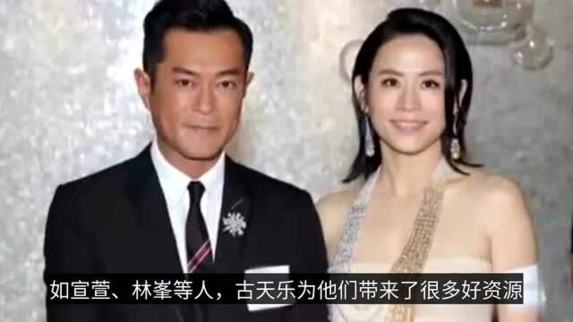 杨颖霸气成为新股东,和古天乐合伙开公司,网友:这是钮祜禄杨颖