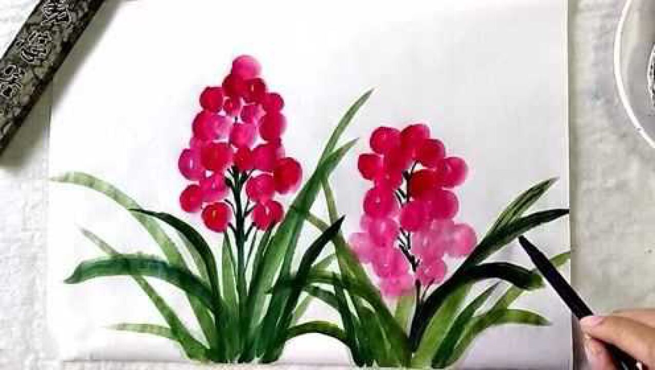 写意画万年青技法示范笔法清晰简单易学值得收藏