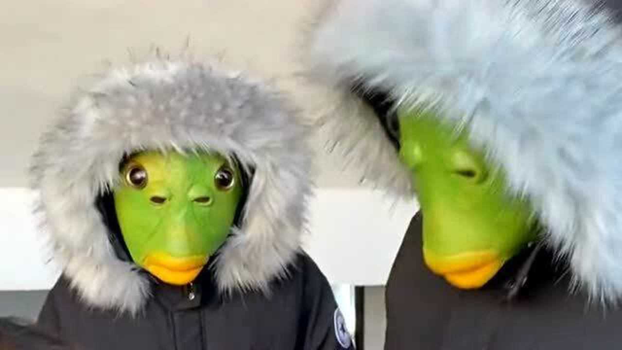两位大哥戴着绿鱼头头套去上课,在楼梯还为小姐姐跳舞,太搞笑了!