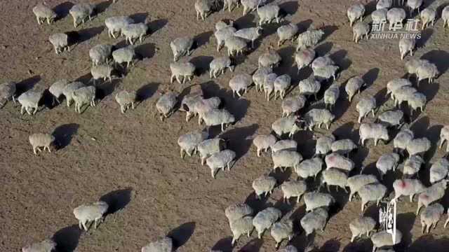 瞰中国|新疆巴州:和静大地春意浓