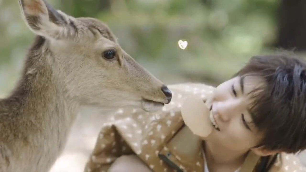 王俊凯迷失森林的小鹿会不会遇到女巫