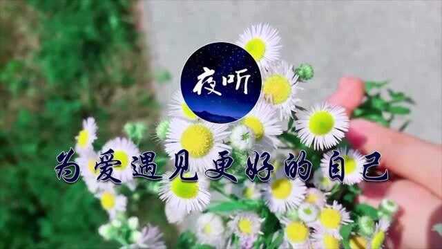 【夜听】和懂你的人在一起