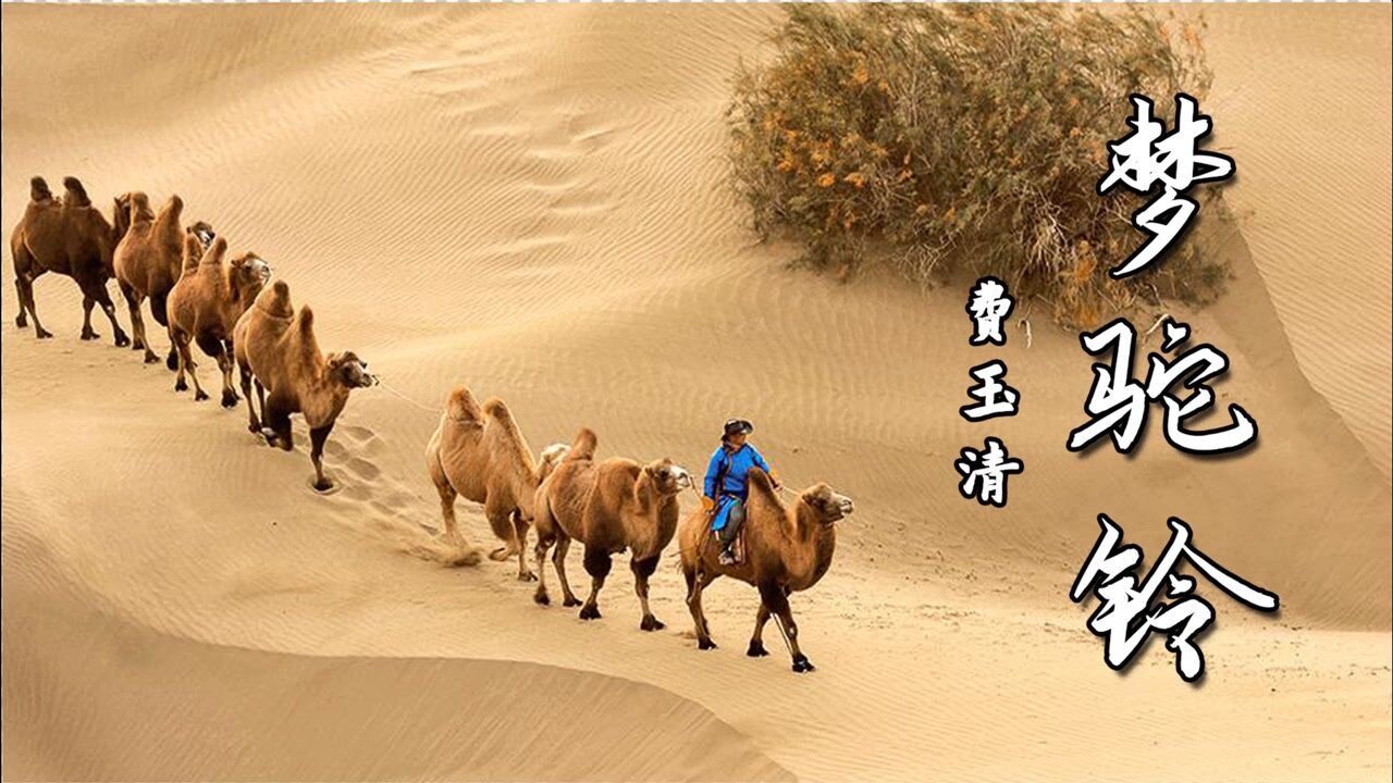 费玉清深情演唱梦驼铃歌词充满了历史沧桑感7080后的回忆