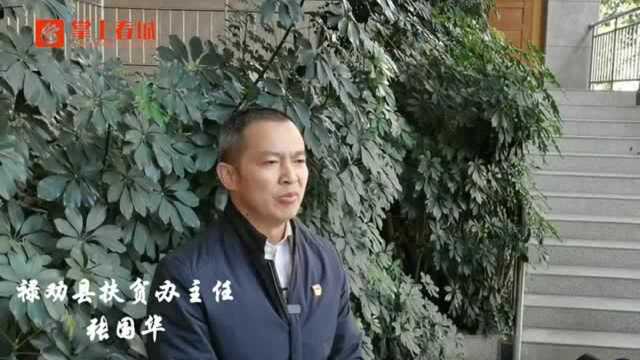 扶贫先扶智!禄劝县“十三五”教育投入53.24亿