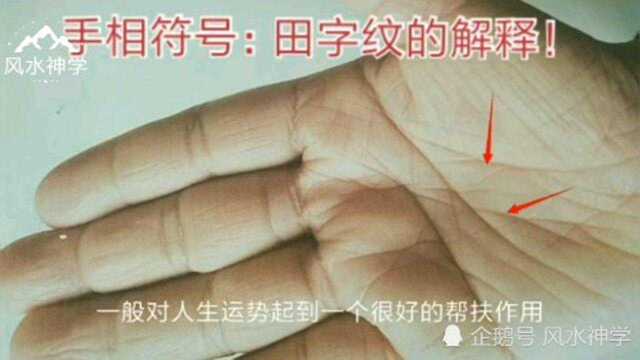 手相符号:田字纹的解释