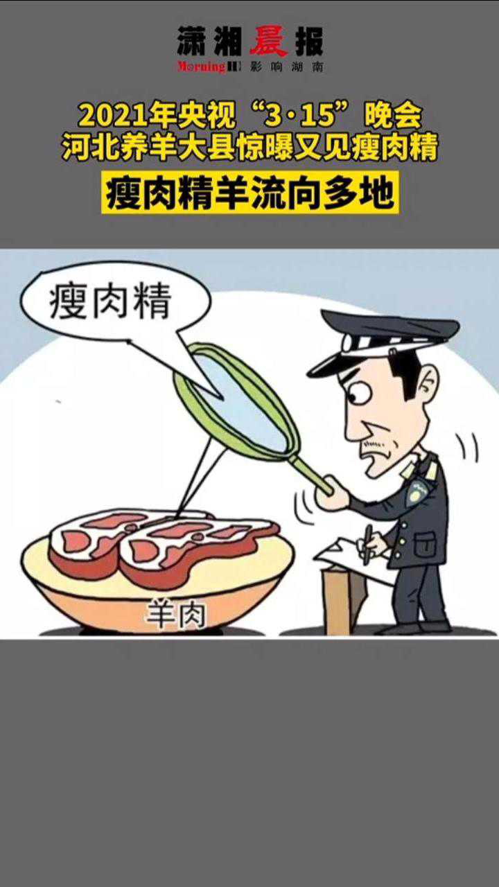 河北养羊大县被曝又见瘦肉精瘦肉精羊流向无锡天津河南等多地