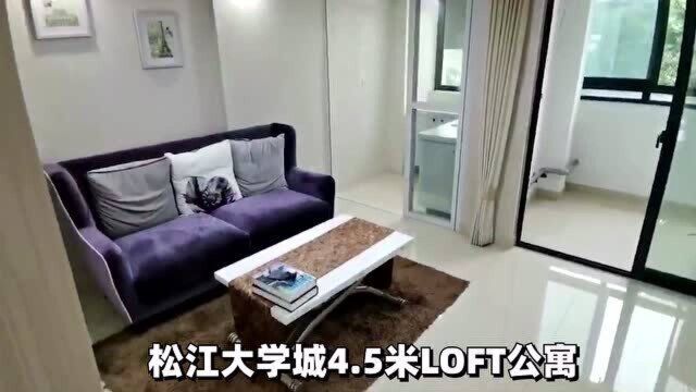 地铁12站徐家汇,月供三千多,万达商圈,精装LOFT,通燃气,不限购