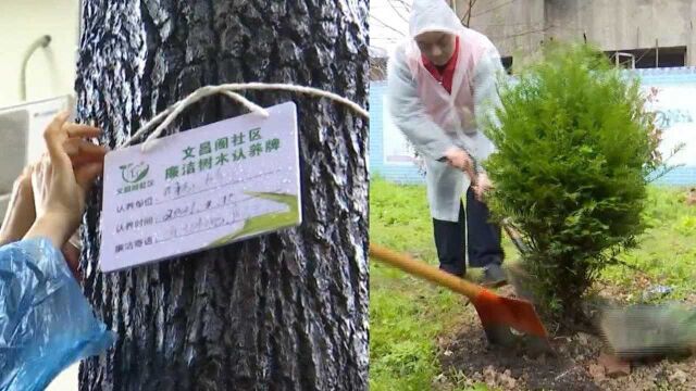 长沙开福区开展植树活动为星城添绿,多家单位认领50年树龄老树