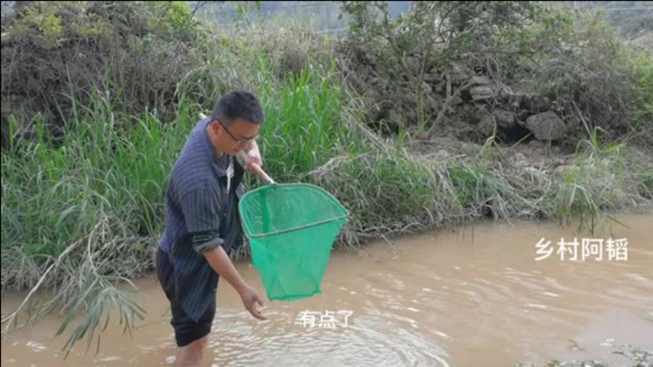 农村小伙再体验了一把到河里捞鱼捉虾!来看都捉到了多少鱼虾_高清1080P在线观看平台_腾讯视频