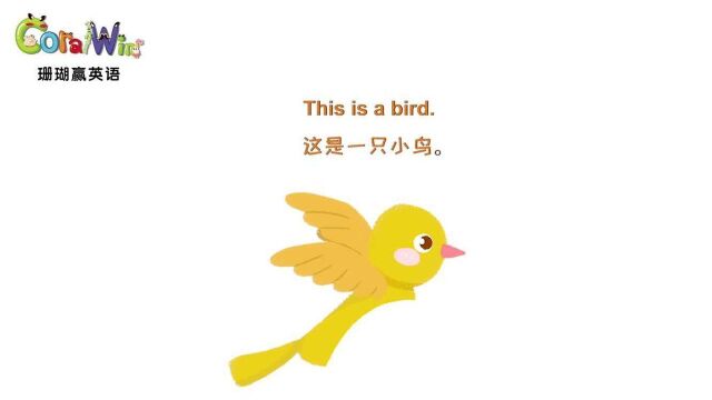 巧记剑桥英语KET单词bird