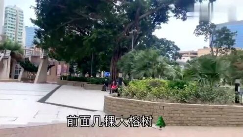 香港人：香港宝妈的四姐如何利用空间，设计她50平方米的小家？带你去看一下！
