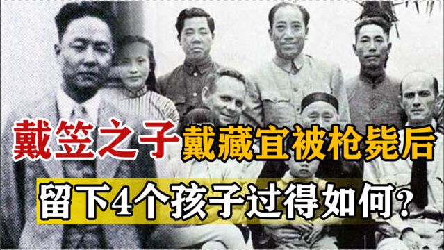 1946年戴笠坠机身亡后,儿子戴藏宜被枪决,4个孙子过得怎样?