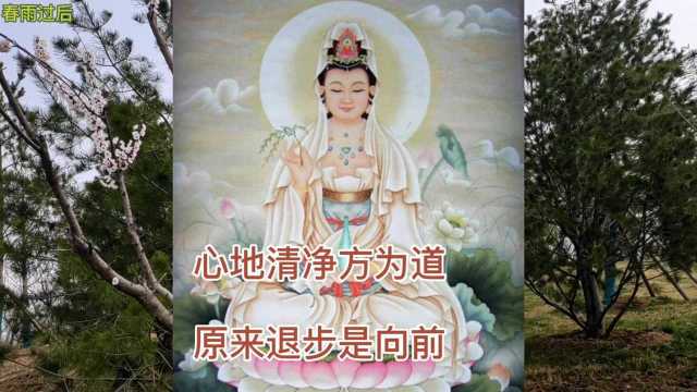 《插秧歌》耀一法师演唱